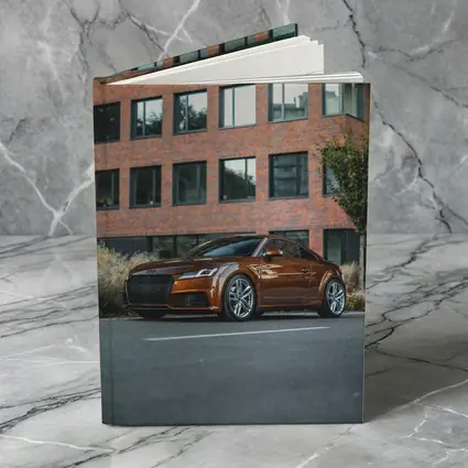 Audi TT Bronze Coupe Urban Street Setting