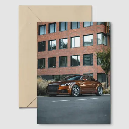 Audi TT Bronze Coupe Urban Street Setting