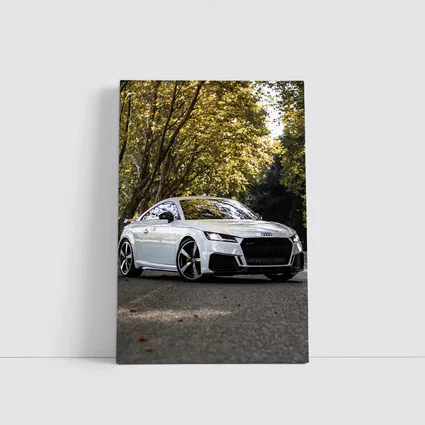 Audi TT RS White Coupe Forest Road