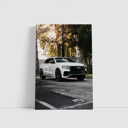 Audi Q8 White SUV Street Trees