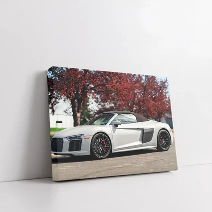 Audi R8 Spyder White Supercar Red Trees