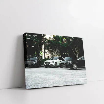 Mercedes S Class Fleet Parked Tropical Setting