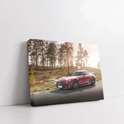 Mercedes AMG GT Red Forest Road