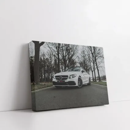 Mercedes AMG C63 White Road Trees