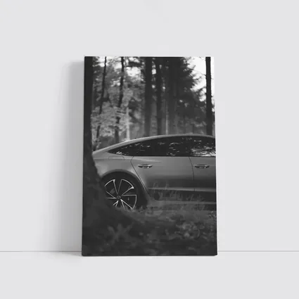 Tesla Model Y Black and White Forest