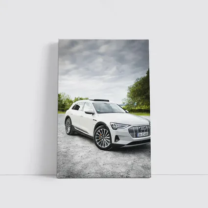 Audi E-Tron White SUV Cloudy Outdoor Setting