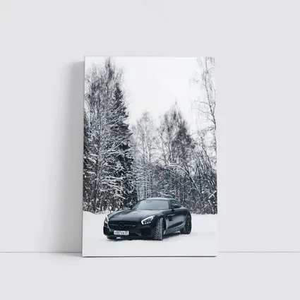 Mercedes AMG GT Black Winter Snow Forest
