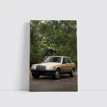 Mercedes 190E Classic Sedan Lush Green Background