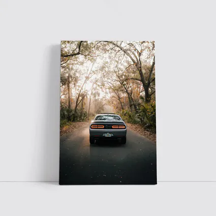 Dodge Challenger Rear View Forest Road