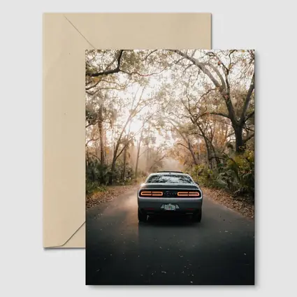 Dodge Challenger Rear View Forest Road