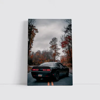 Dodge Challenger Black Muscle Car Autumn Road