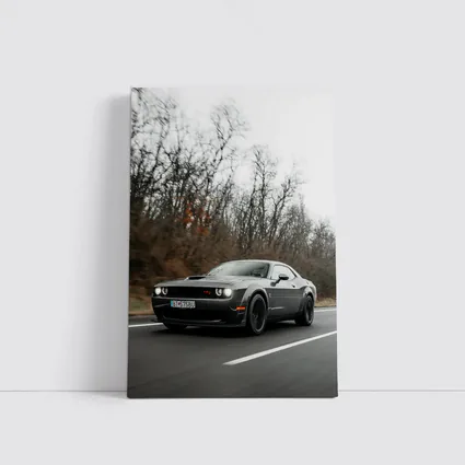 Dodge Challenger Dark Gray Road Drive