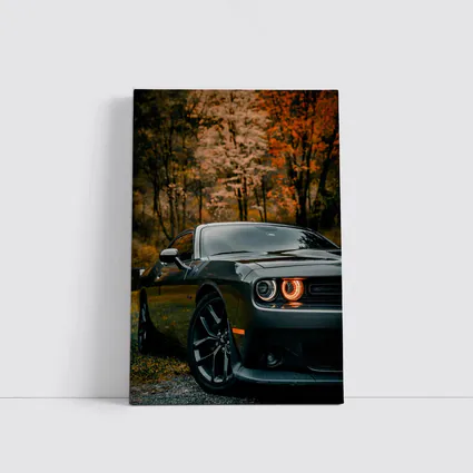 Dodge Challenger Dark Gray Autumn Forest