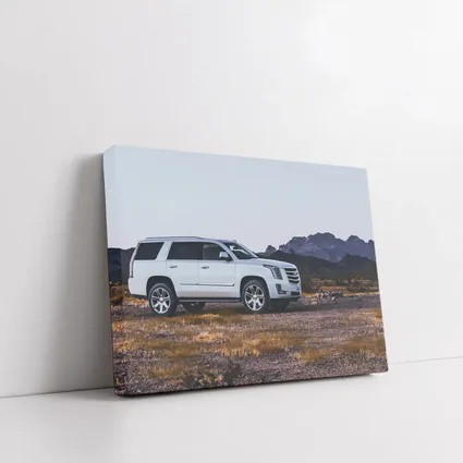 Cadillac Escalade White SUV Desert Mountains