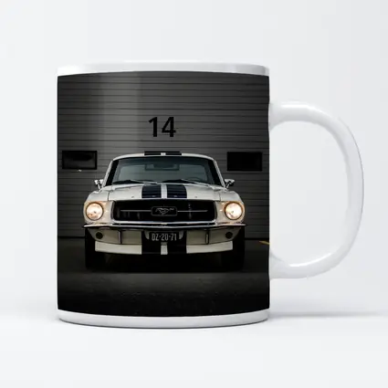 Ford Mustang Classic White Racing Stripes Garage