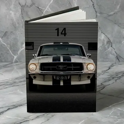Ford Mustang Classic White Racing Stripes Garage
