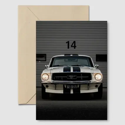 Ford Mustang Classic White Racing Stripes Garage