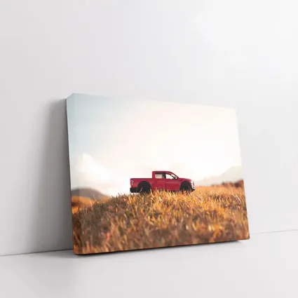 Red Ford F-Series Truck Golden Grass Field