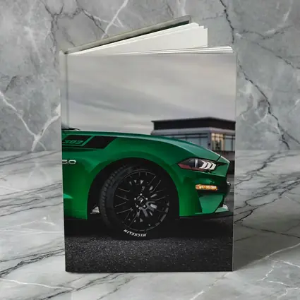 Ford Mustang Green Boss 302 Overcast Sky