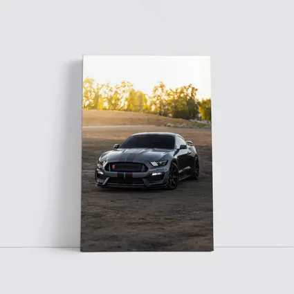 Ford Mustang Shelby GT350 Dirt Road Sunset