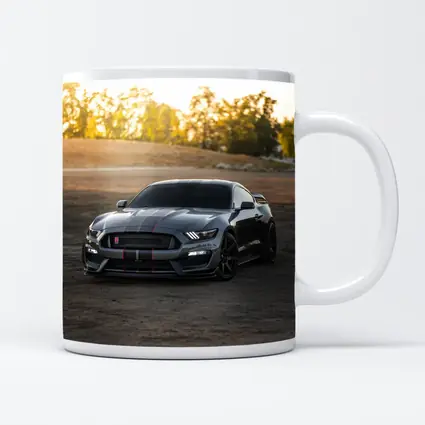 Ford Mustang Shelby GT350 Dirt Road Sunset