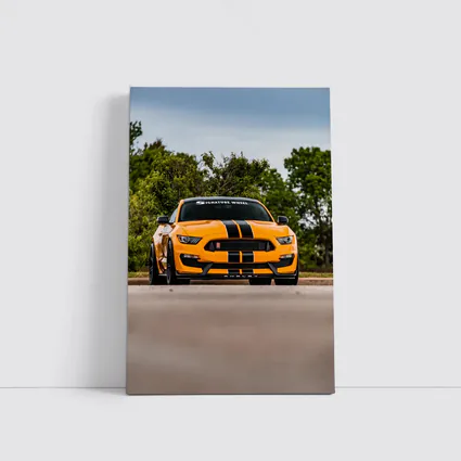 Ford Mustang Shelby GT350 Orange Street Shot
