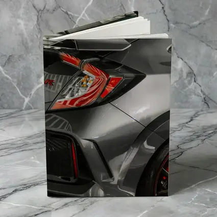 Honda Civic Type R Gray Rear Close Up