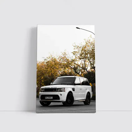 Range Rover Sport White SUV Autumn Trees