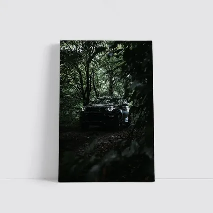 Land Rover Discovery Dark Forest Trail