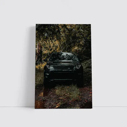 Black Land Rover Discovery Forest Trail