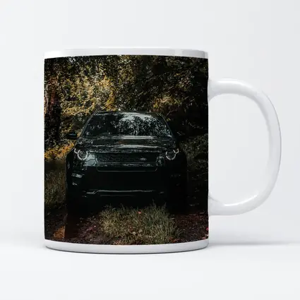 Black Land Rover Discovery Forest Trail