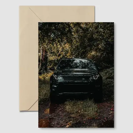 Black Land Rover Discovery Forest Trail
