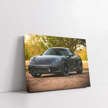 Porsche Cayman Gray Coupe Summer Trees