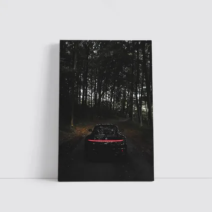 Porsche Taycan Black In Dark Forest