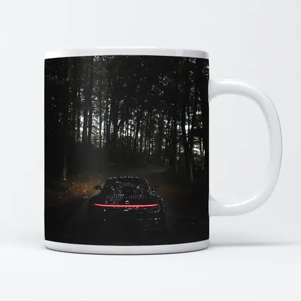 Porsche Taycan Black In Dark Forest