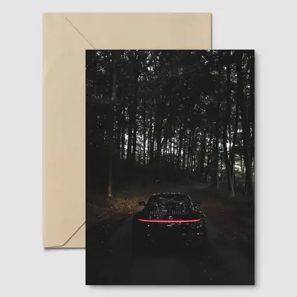 Porsche Taycan Black In Dark Forest