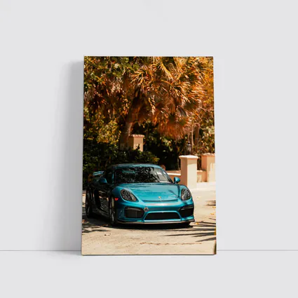 Porsche Cayman GT4 Teal Palm Trees Background