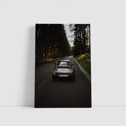 Porsche 911 Carrera on Forest Road