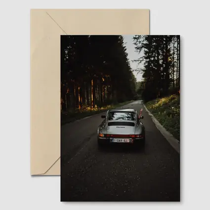 Porsche 911 Carrera on Forest Road