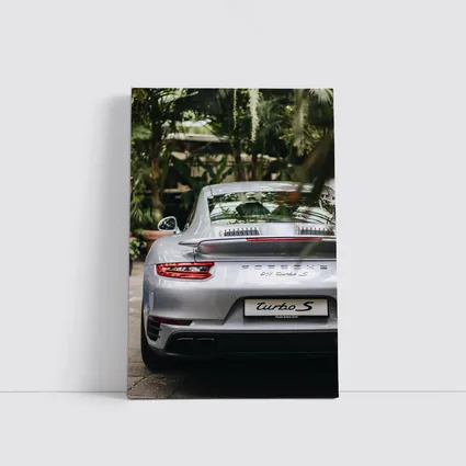 Porsche 911 Turbo S Silver Rear Garden