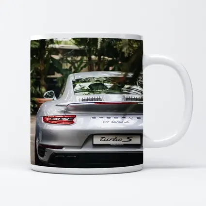 Porsche 911 Turbo S Silver Rear Garden