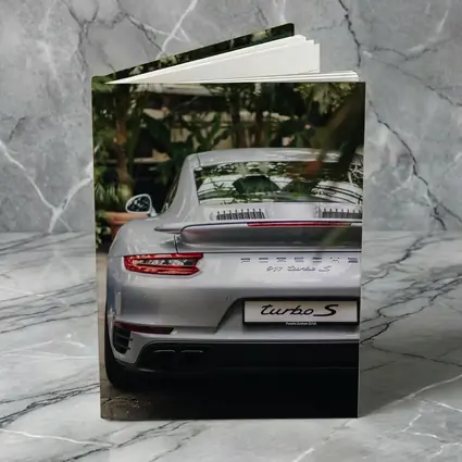 Porsche 911 Turbo S Silver Rear Garden