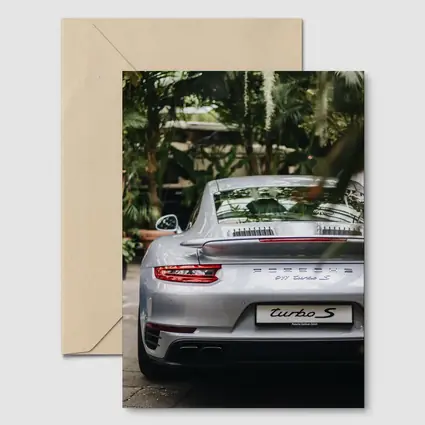 Porsche 911 Turbo S Silver Rear Garden