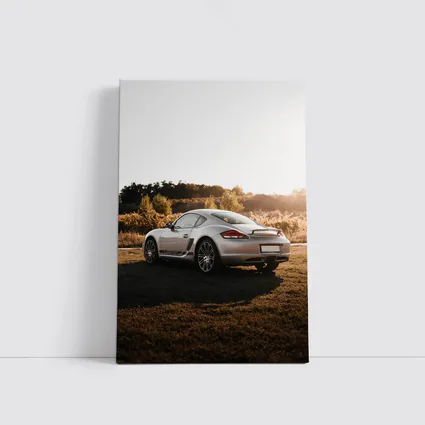 Porsche Cayman Silver Coupe Golden Hour Field