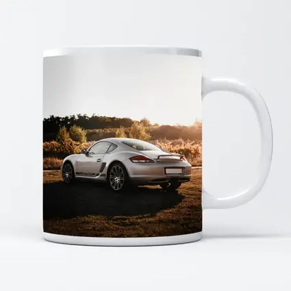 Porsche Cayman Silver Coupe Golden Hour Field