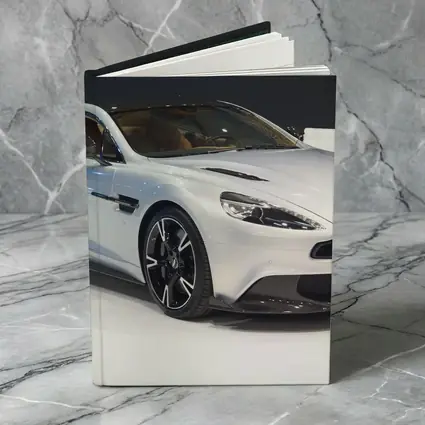 Aston Martin Vanquish S Silver Auto Show