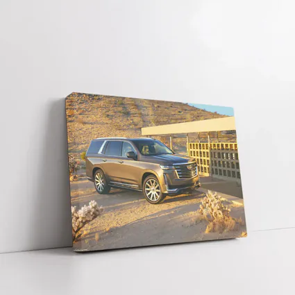Cadillac Escalade SUV Desert Landscape Setting