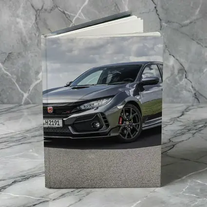 Honda Civic Type R Dark Track Setting