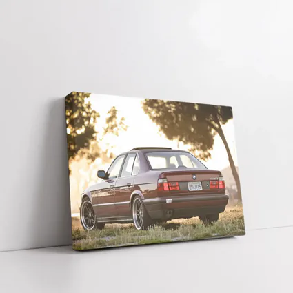 BMW E34 525i Sedan Golden Hour Park