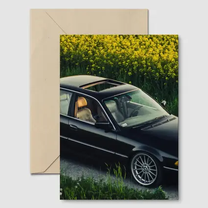BMW 7 Series E38 Black Rapeseed Field